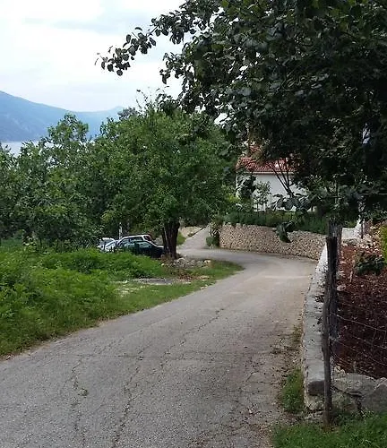 Ilario